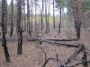 IMG_5145.jpg