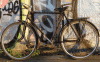 DSC01653.gif