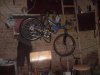 DSC01785.jpg