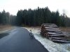 DSCF7592.jpg
