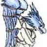 Griffon
