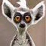 LeMur666